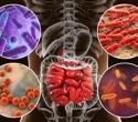 Genes influence the gut microbiome beyond the individual