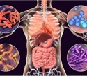 Social living allows genetic effects to spread through the gut microbiome