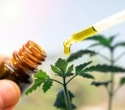 Cannabis extract can improve behavior of children and teens with autism spectrum disorder