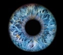 World’s largest eye imaging and data resource expands across the UK
