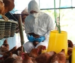 First instance of avian flu (H5N1) occurring in wild migratory birds