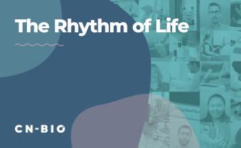 The rhythm of life