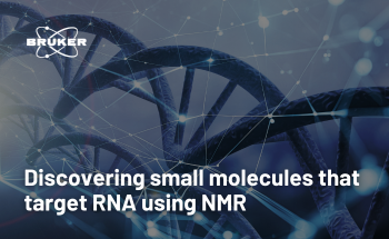 Discovering small molecules that target RNA using NMR